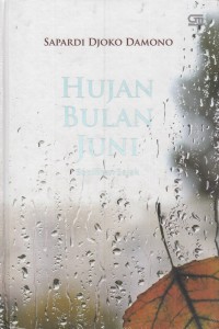 Image of HUJAN BULAN JUNI 2016